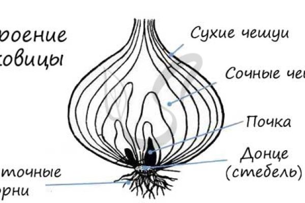 Кракен вывод средств