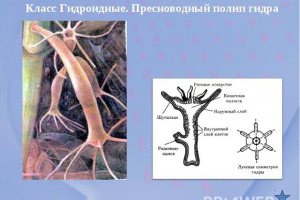 Кракен клирнет